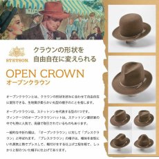 画像9: VINTAGE WHIPPET BEAVER JP OPENCROWN（ビンテージウィペット ビーバー JP オープンクラウン） SE796 グレー (9)