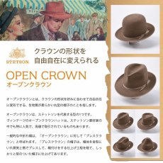 画像9: VELOR FELT OPENCROWN（ベロアフェルト オープンクラウン） SE797 ブラウン (9)