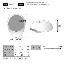 画像9: HARRISTWEED LEATHRE BIG CAS（ハリスツイード レザー ビッグキャス） SE787 グレー (9)