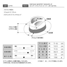 画像8: VINTAGE WHIPPET BEAVER JP（ビンテージウィペット ビーバー JP） SE795 ブラック (8)