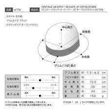 画像11: VINTAGE WHIPPET BEAVER JP OPENCROWN（ビンテージウィペット ビーバー JP オープンクラウン） SE796 グレー (11)