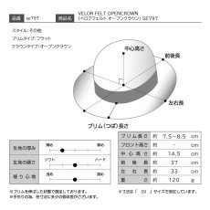 画像11: VELOR FELT OPENCROWN（ベロアフェルト オープンクラウン） SE797 ブラウン (11)